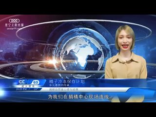 star infinite media xk 8043 sex news network 4 jiang youyi night by night
